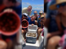 A cheerful group of friends celebrates their successful fishing trip, showcasing their catch of clams aboard the boat — a perfect day on the water.