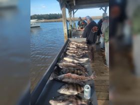 A group of anglers showcases their catch of the day while cleaning fish at a dockside station — a perfect moment for fishing enthusiasts.