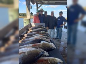 A group of friends proudly displays their catch of the day after a successful fishing trip, showcasing camaraderie and the joy of outdoor adventures.