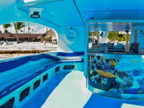 Interior view of a boat featuring comfortable seating and a bar area, perfect for relaxing and enjoying the scenic beach surroundings.
