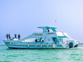 A group of guests enjoys their time aboard the Trinity boat, capturing the essence of adventure on the water.