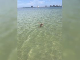 A person joyfully swims in clear waters, enjoying a fun day out on the water — a perfect moment for relaxation and celebration.