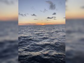 A serene sunset over the ocean, capturing the tranquil beauty of the water — perfect for peaceful evening boat cruises.