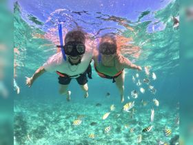 A couple enjoys snorkeling in crystal-clear waters, surrounded by vibrant fish — an unforgettable underwater adventure.