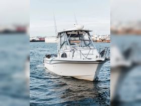 A sleek speedboat glides through the water, showcasing its elegant design and functionality — perfect for thrilling adventures on the open sea.