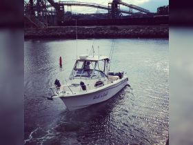 A speedboat named 'Rock 'n Reel' navigates through calm waters, showcasing its sleek design against an industrial backdrop.