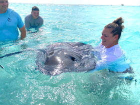 A joyful interaction as a woman swims with a stingray in crystal-clear waters, accompanied by two others enjoying this unique wildlife experience.