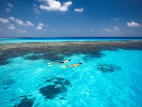 Two snorkelers explore the vibrant underwater world in crystal-clear waters, showcasing the beauty of coral reefs and marine life.