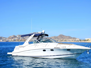 BTC Cabo Private Yacht – Snorkel & Open Bar