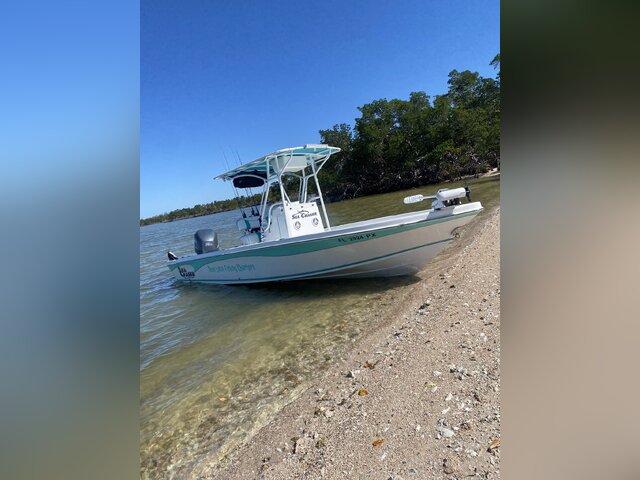Listing image 1090377