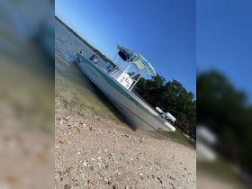 A sleek speedboat rests on the sandy shore, surrounded by calm waters and lush greenery, perfect for a day of adventure on the water.