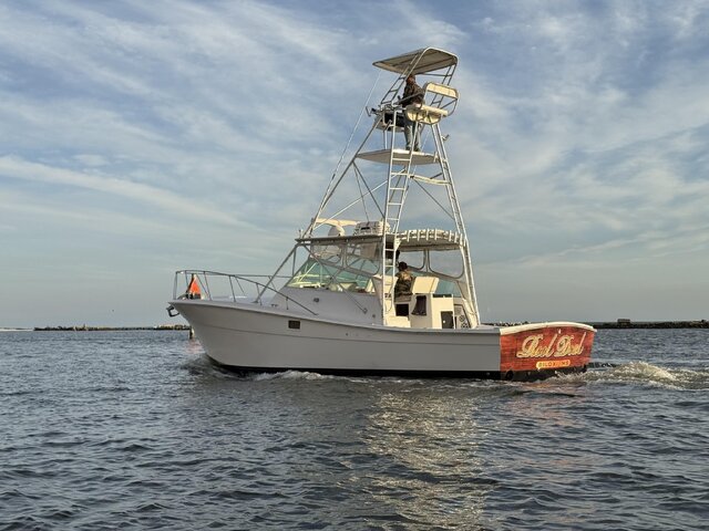Listing image 1085545