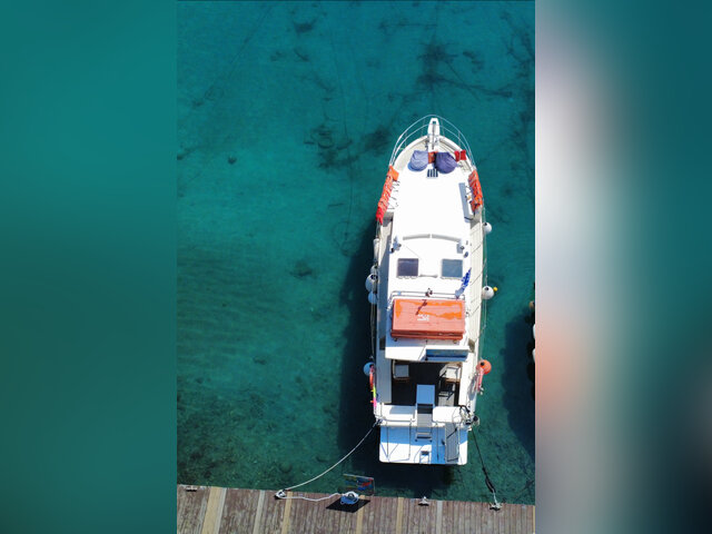 Listing image 1085557