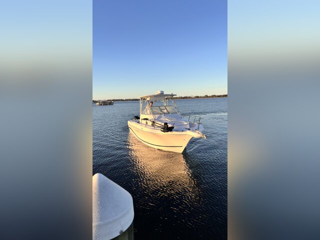 Listing image 1085619