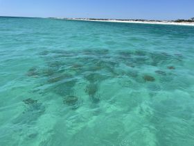 An unclear view of the water, possibly showing underwater features, but lacks identifiable subjects or clarity.