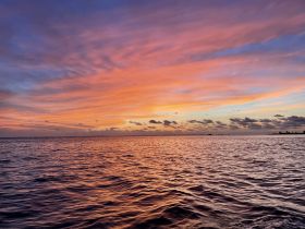 A breathtaking sunset paints the sky in vibrant hues over calm waters, creating a picturesque scene perfect for evening boat trips and relaxation.