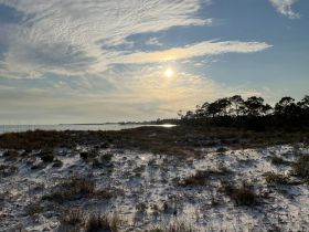 A scenic view of a coastal landscape at sunset, featuring sandy terrain and distant trees, perfect for nature lovers and photographers.