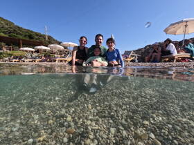 A joyful family enjoys a sunny day at the beach, playing in the water and creating lasting memories together.