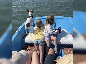 Two children and a dog enjoy a sunny day on a boat, gazing out at the water — a perfect family outing on the water.