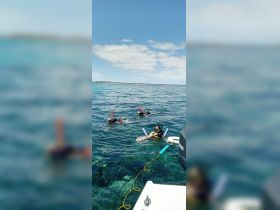 A group of snorkelers enjoys exploring the vibrant underwater world, showcasing the excitement of marine adventures in crystal-clear waters.