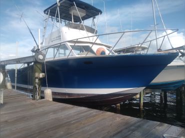 Surf Rider Charters