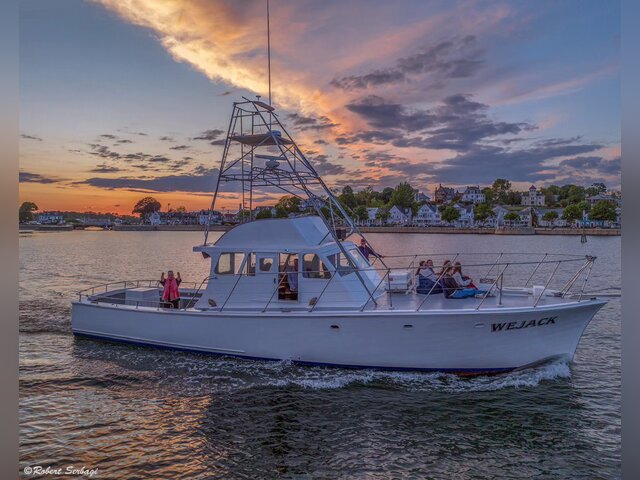 Listing image 1095464
