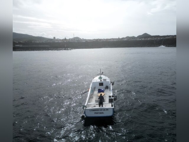 Listing image 1087615