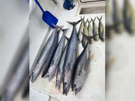 A successful fishing trip yields a variety of freshly caught fish displayed on the deck of a boat, showcasing the excitement of a day on the water.