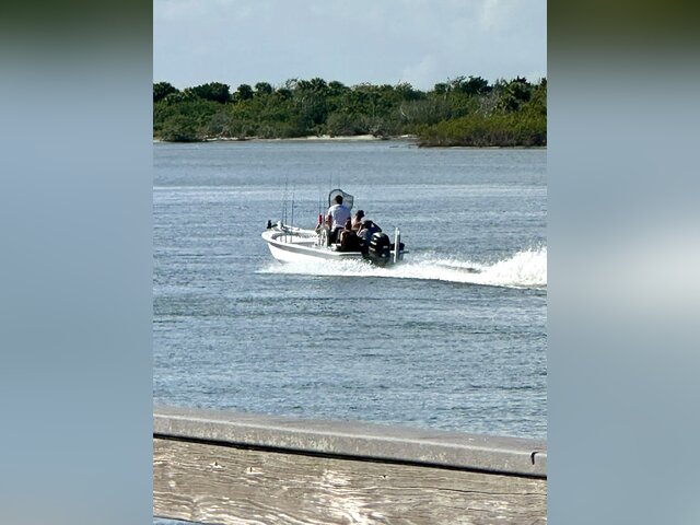 Listing image 1086204