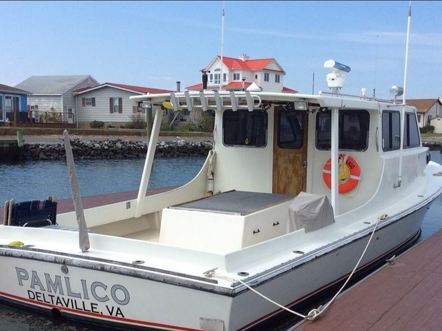 Listing image 1086397