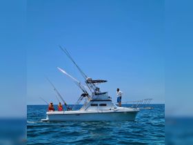 A group of anglers enjoys a fishing trip on a boat, showcasing the thrill of ocean fishing in clear blue waters.