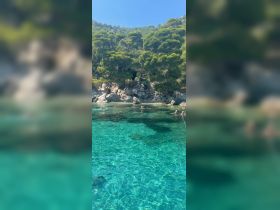 A group of swimmers enjoys the crystal-clear waters near a rocky shoreline, surrounded by lush greenery — a perfect spot for relaxation and fun in the sun.