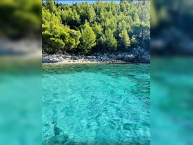 A stunning view of a serene coastline with lush greenery and crystal-clear waters, perfect for a relaxing day on the boat or exploring hidden beaches.