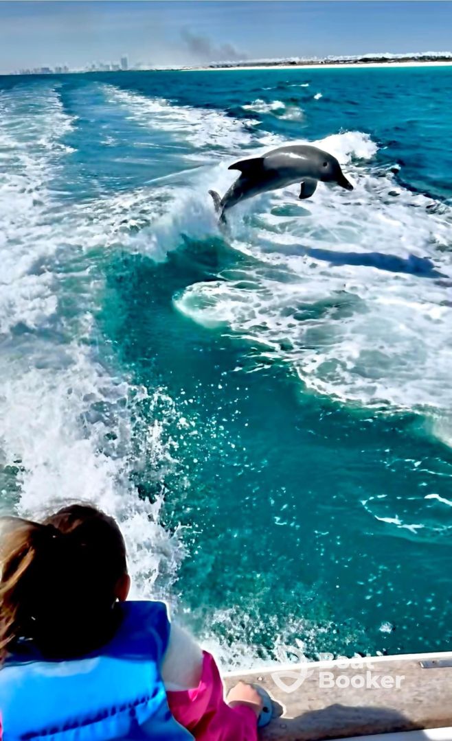 Gulf Coast Excursions