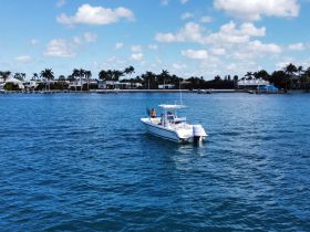 A sleek speedboat navigates through clear waters, showcasing a beautiful waterfront backdrop with palm trees and luxurious homes.