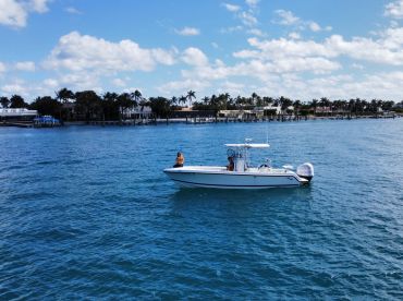 Big Cat Charters