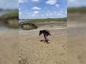 A child explores the sandy shore, discovering nature along the water's edge — a perfect moment of adventure and curiosity.