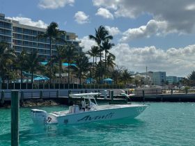 A sleek speedboat named 'Avanti' navigates through turquoise waters, showcasing the vibrant coastal scenery and nearby palm trees.