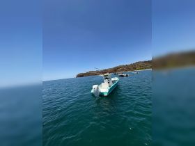 A sleek speedboat navigates the clear waters, showcasing its vibrant design against a picturesque coastal backdrop — perfect for adventurous outings.