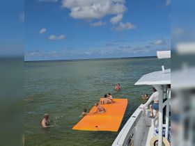 A lively group enjoys a day on the water with a floating mat, swimming and having fun under the sun — perfect for summer adventures.