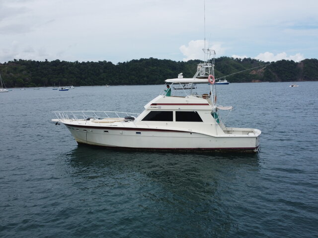 Listing image 1087594
