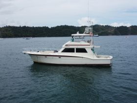 A classic yacht anchored in calm waters, surrounded by lush greenery — perfect for exploring coastal destinations.