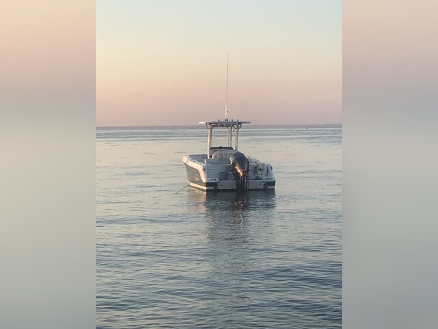 Listing image 1087690