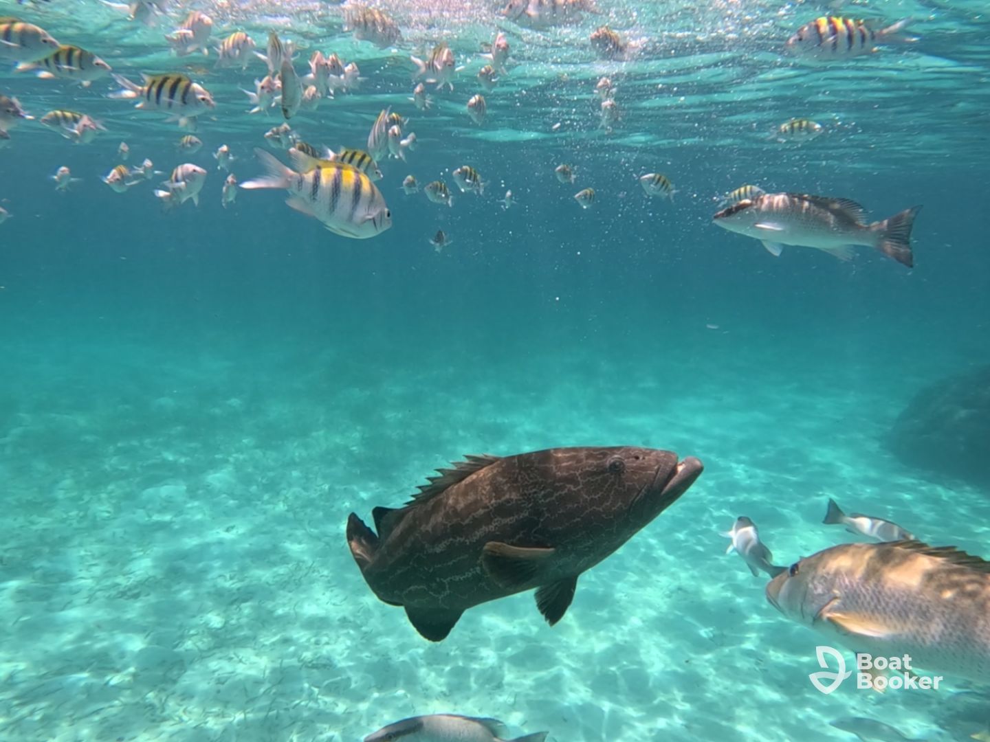 Guevara Tours Belize