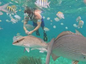 A snorkeler interacts with vibrant fish underwater, showcasing the beauty of marine life during an exciting snorkeling adventure.