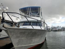 Charter Image