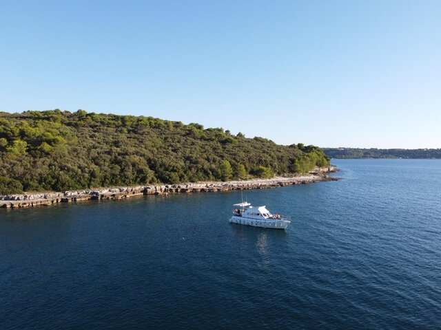 Listing image 1087915