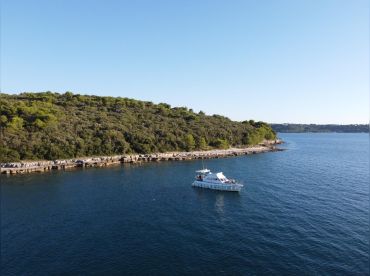 Flipper Boat Excursion