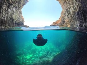 A snorkeler explores the vibrant underwater world beneath a rocky cave, showcasing the beauty of marine life and stunning scenery.