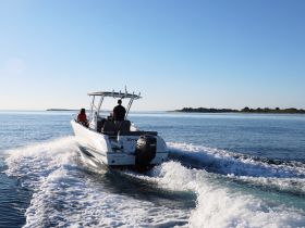 A speedboat glides through calm waters with two passengers enjoying the ride, showcasing a beautiful day on the water.